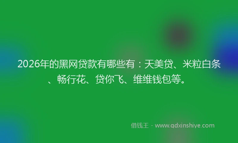2026年的黑网贷款有哪些有：天美贷、米粒白条、畅行花、贷你飞、维维钱包等。