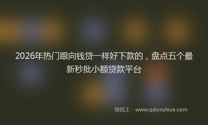2026年热门跟向钱贷一样好下款的，盘点五个最新秒批小额贷款平台