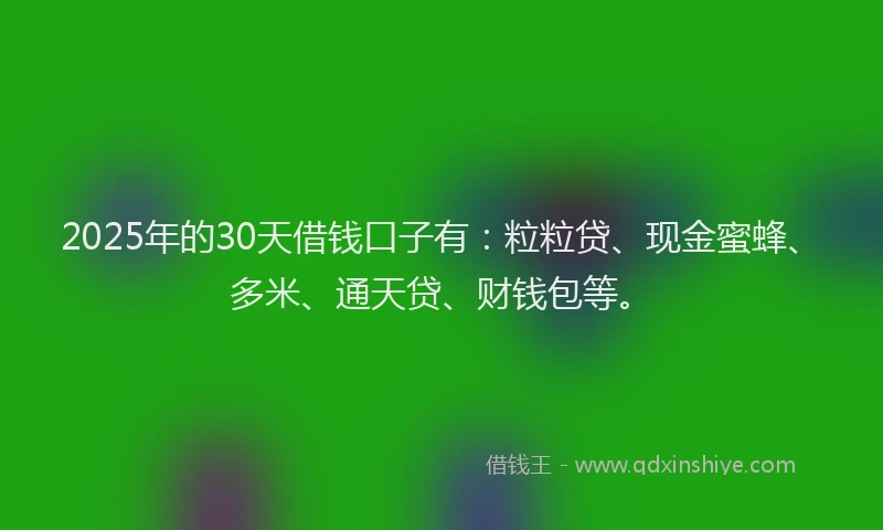 2025年的30天借钱口子有：粒粒贷、现金蜜蜂、多米、通天贷、财钱包等。