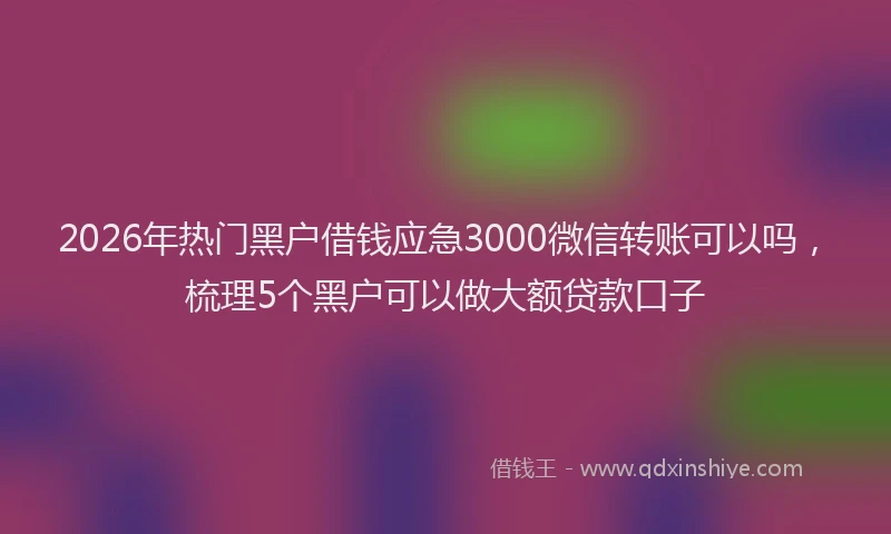 2026年热门黑户借钱应急3000微信转账可以吗，梳理5个黑户可以做大额贷款口子