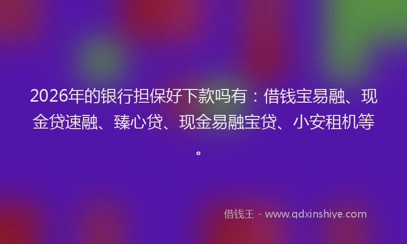 2026年的银行担保好下款吗有：借钱宝易融、现金贷速融、臻心贷、现金易融宝贷、小安租机等。