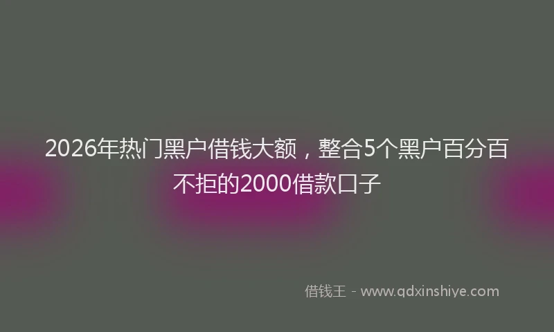 2026年热门黑户借钱大额，整合5个黑户百分百不拒的2000借款口子