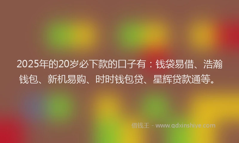 2025年的20岁必下款的口子有：钱袋易借、浩瀚钱包、新机易购、时时钱包贷、星辉贷款通等。