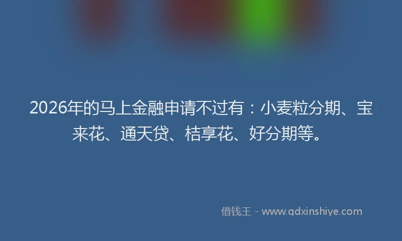 2026年的马上金融申请不过有：小麦粒分期、宝来花、通天贷、桔享花、好分期等。