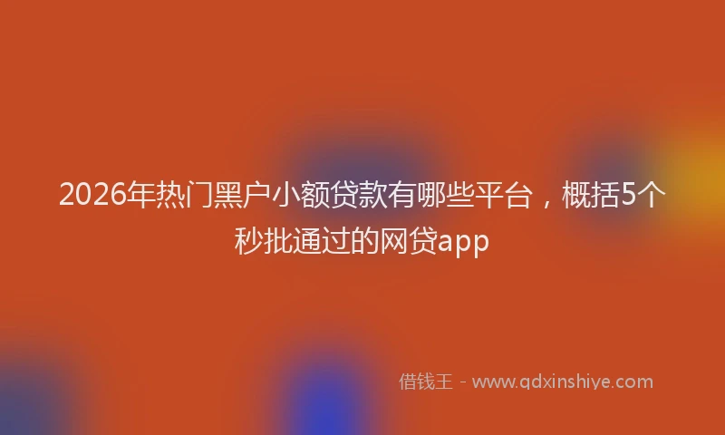 2026年热门黑户小额贷款有哪些平台，概括5个秒批通过的网贷app