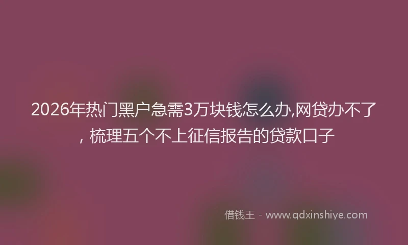 2026年热门黑户急需3万块钱怎么办,网贷办不了，梳理五个不上征信报告的贷款口子