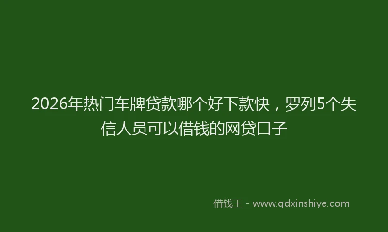 2026年热门车牌贷款哪个好下款快，罗列5个失信人员可以借钱的网贷口子