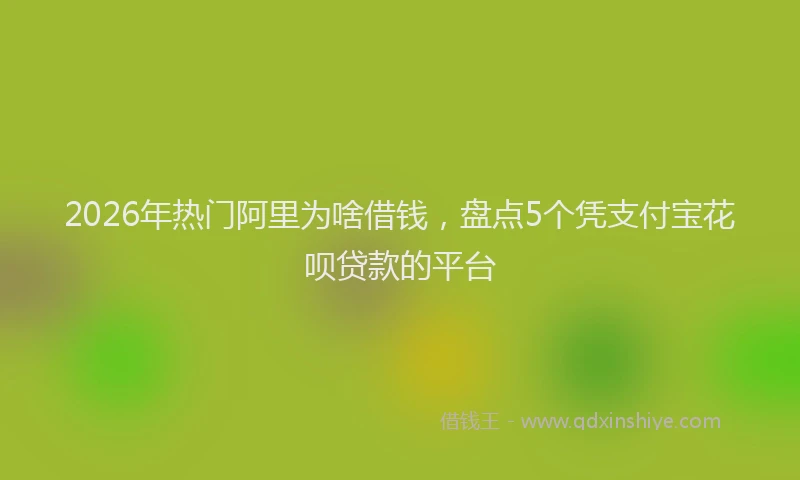 2026年热门阿里为啥借钱，盘点5个凭支付宝花呗贷款的平台