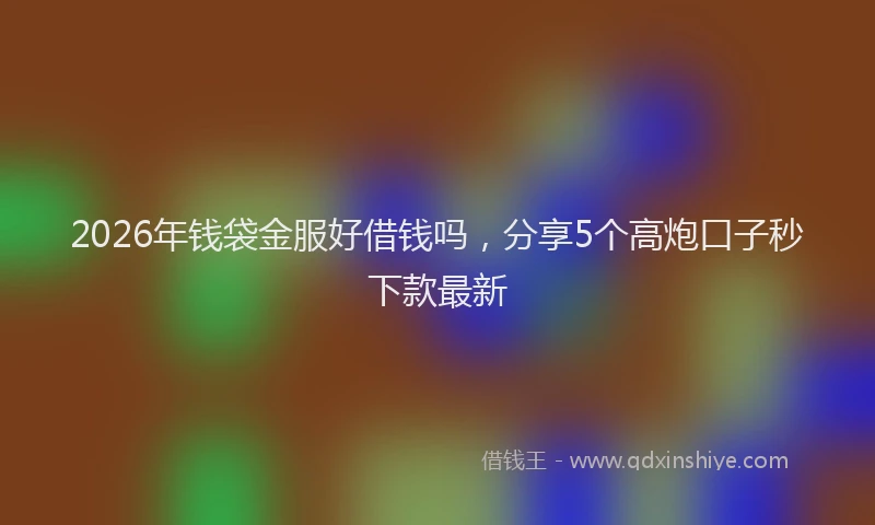 2026年钱袋金服好借钱吗，分享5个高炮口子秒下款最新