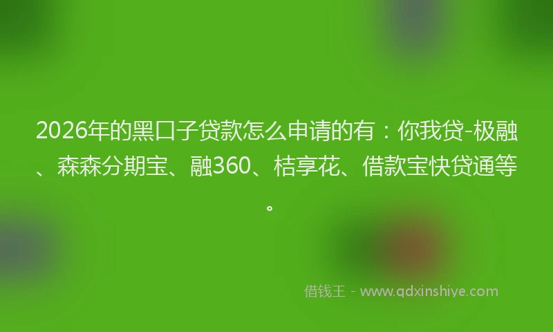 2026年的黑口子贷款怎么申请的有：你我贷-极融、森森分期宝、融360、桔享花、借款宝快贷通等。