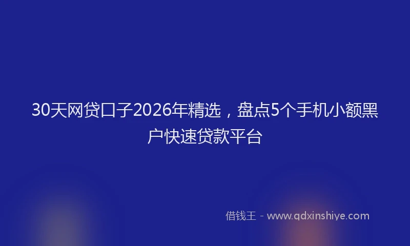 30天网贷口子2026年精选，盘点5个手机小额黑户快速贷款平台