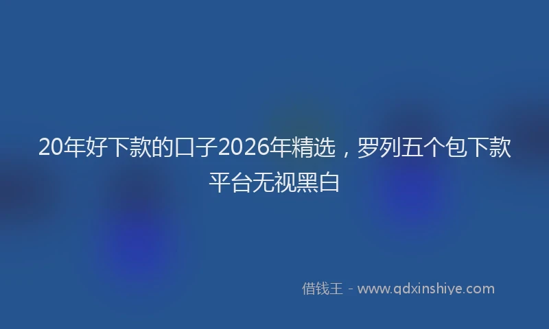 20年好下款的口子2026年精选，罗列五个包下款平台无视黑白