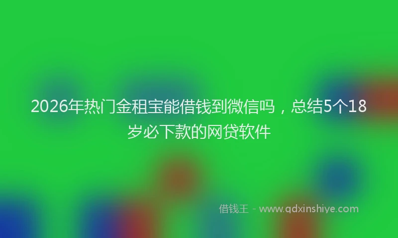 2026年热门金租宝能借钱到微信吗,总结5个18岁必下款的网贷软件