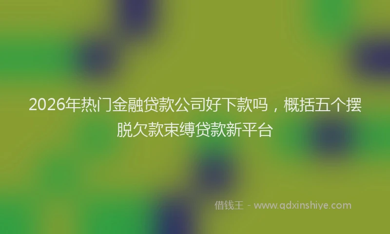 2026年热门金融贷款公司好下款吗，概括五个摆脱欠款束缚贷款新平台
