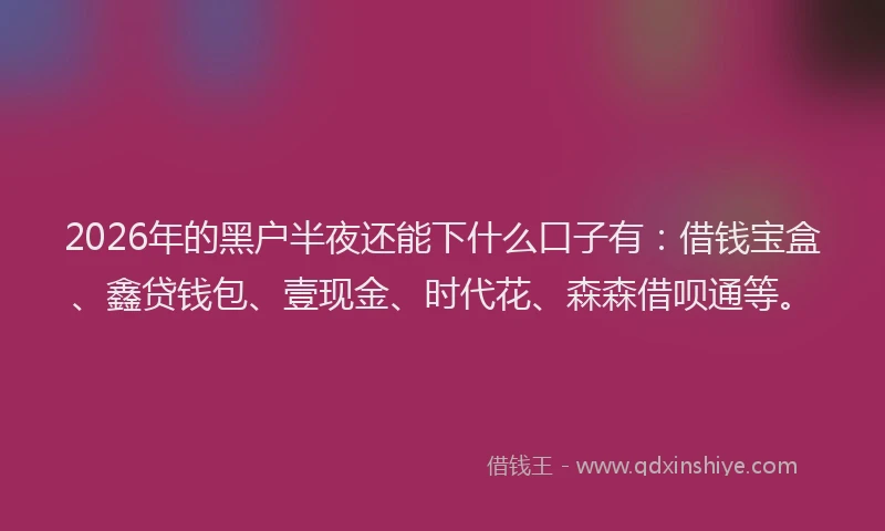 2026年的黑户半夜还能下什么口子有：借钱宝盒、鑫贷钱包、壹现金、时代花、森森借呗通等。