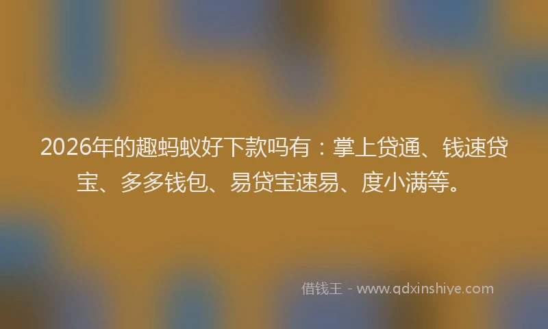 2026年的趣蚂蚁好下款吗有：掌上贷通、钱速贷宝、多多钱包、易贷宝速易、度小满等。