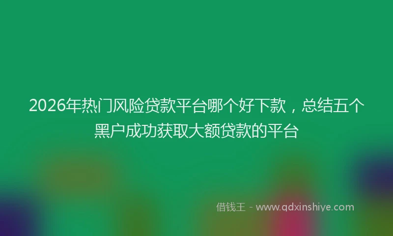 2026年热门风险贷款平台哪个好下款，总结五个黑户成功获取大额贷款的平台