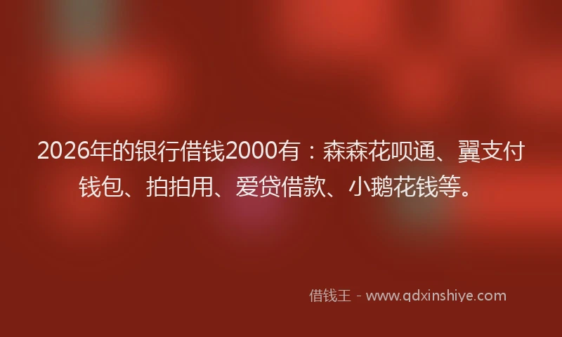2026年的银行借钱2000有：森森花呗通、翼支付钱包、拍拍用、爱贷借款、小鹅花钱等。