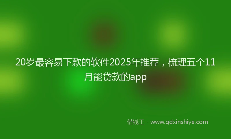 20岁最容易下款的软件2025年推荐,梳理五个11月能贷款的app