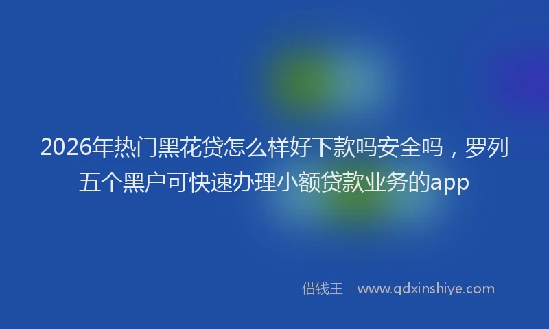 2026年热门黑花贷怎么样好下款吗安全吗，罗列五个黑户可快速办理小额贷款业务的app
