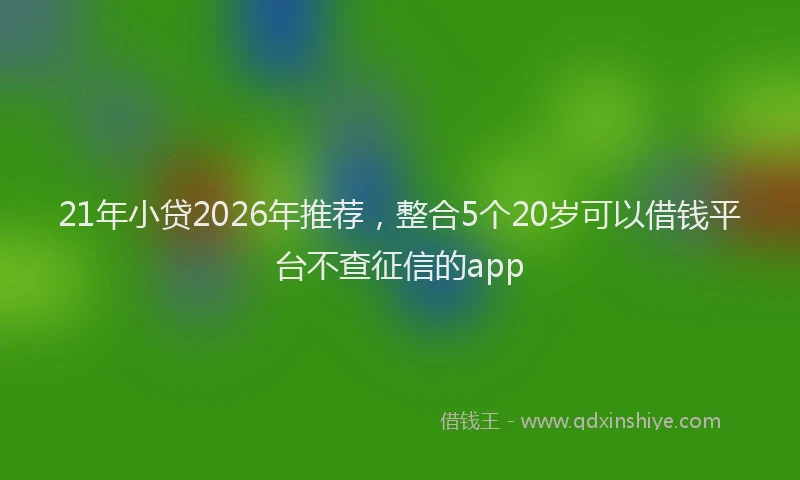 21年小贷2026年推荐，整合5个20岁可以借钱平台不查征信的app