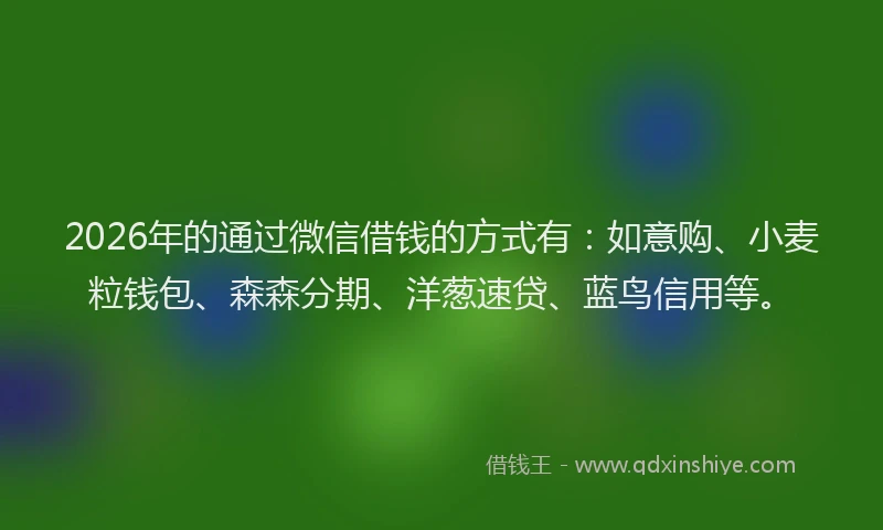 2026年的通过微信借钱的方式有:如意购、小麦粒钱包、森森分期、洋葱速贷、蓝鸟信用等。