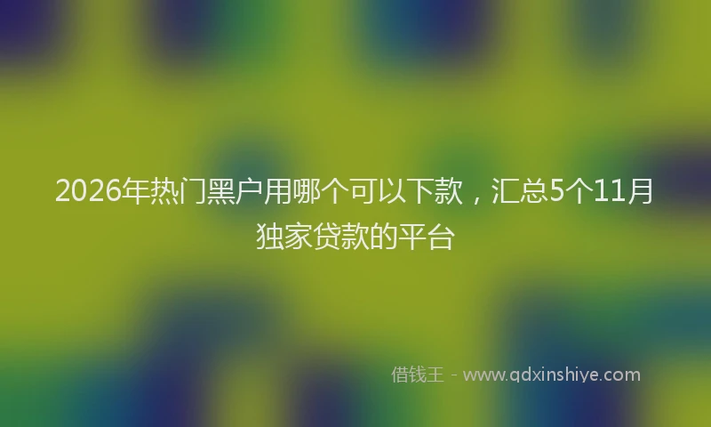 2026年热门黑户用哪个可以下款，汇总5个11月独家贷款的平台