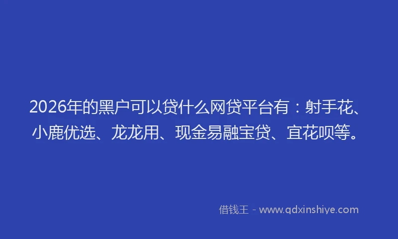 2026年的黑户可以贷什么网贷平台有:射手花、小鹿优选、龙龙用、现金易融宝贷、宜花呗等。