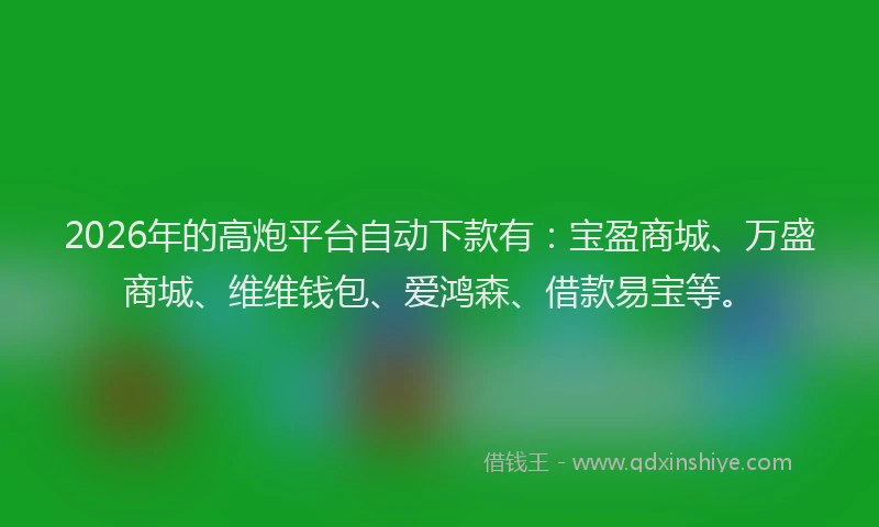 2026年的高炮平台自动下款有：宝盈商城、万盛商城、维维钱包、爱鸿森、借款易宝等。