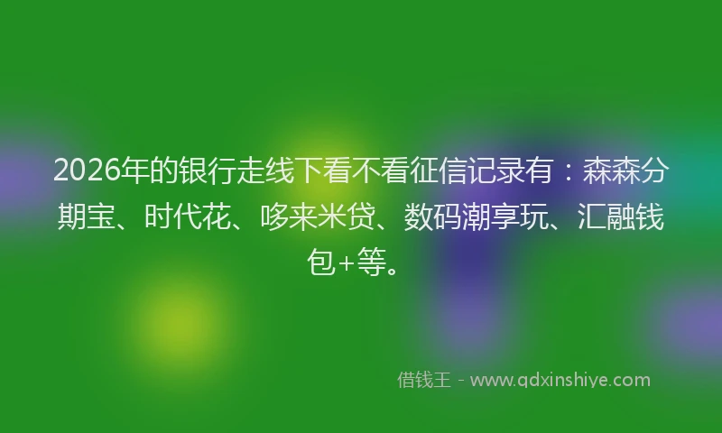 2026年的银行走线下看不看征信记录有：森森分期宝、时代花、哆来米贷、数码潮享玩、汇融钱包+等。