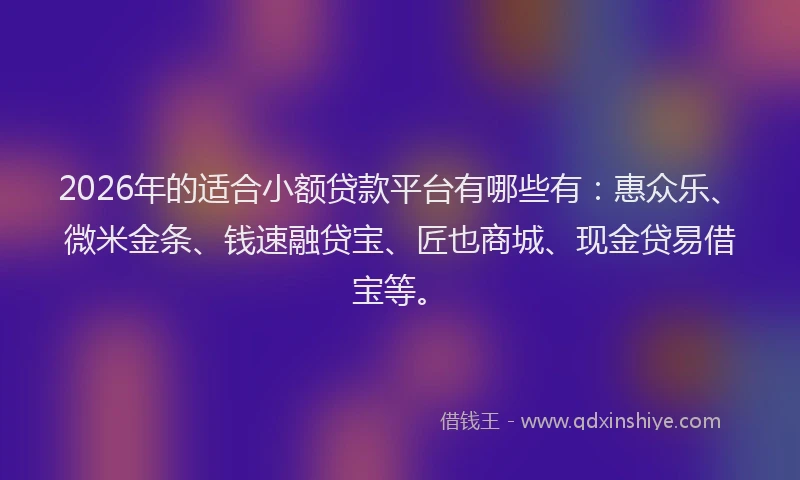 2026年的适合小额贷款平台有哪些有：惠众乐、微米金条、钱速融贷宝、匠也商城、现金贷易借宝等。