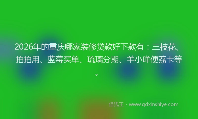 2026年的重庆哪家装修贷款好下款有：三枝花、拍拍用、蓝莓买单、琉璃分期、羊小咩便荔卡等。