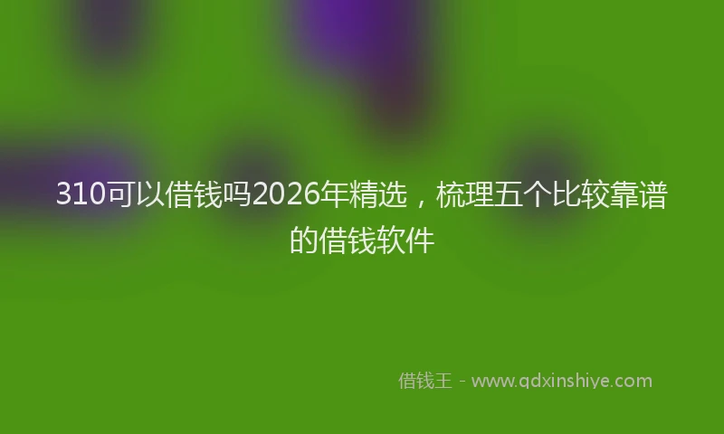 310可以借钱吗2026年精选，梳理五个比较靠谱的借钱软件
