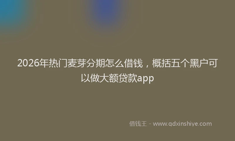 2026年热门麦芽分期怎么借钱,概括五个黑户可以做大额贷款app
