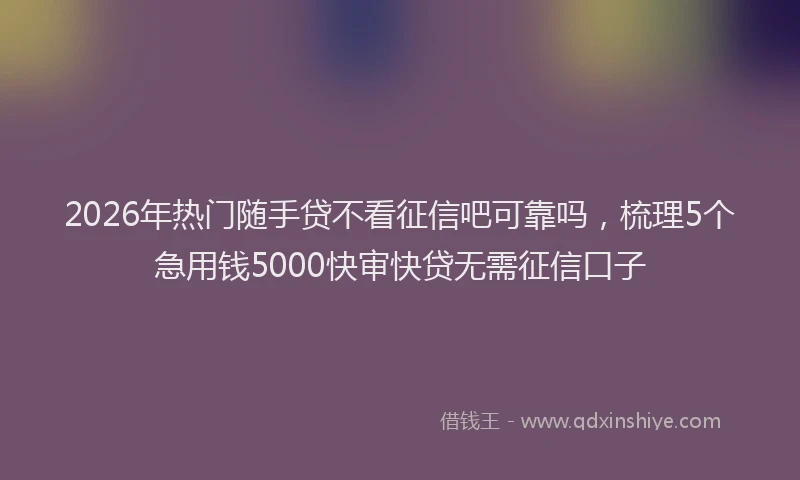 2026年热门随手贷不看征信吧可靠吗，梳理5个急用钱5000快审快贷无需征信口子