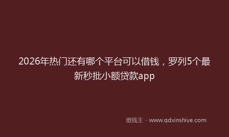 2026年热门还有哪个平台可以借钱，罗列5个最新秒批小额贷款app