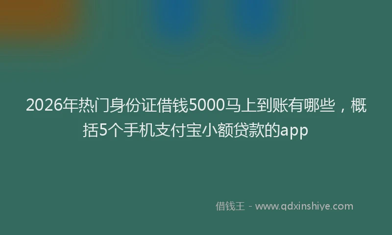 2026年热门身份证借钱5000马上到账有哪些，概括5个手机支付宝小额贷款的app