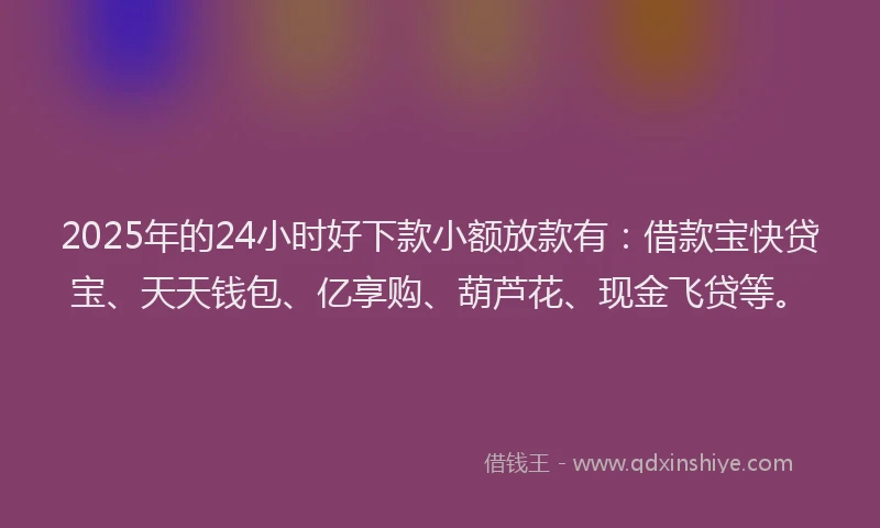 2025年的24小时好下款小额放款有：借款宝快贷宝、天天钱包、亿享购、葫芦花、现金飞贷等。