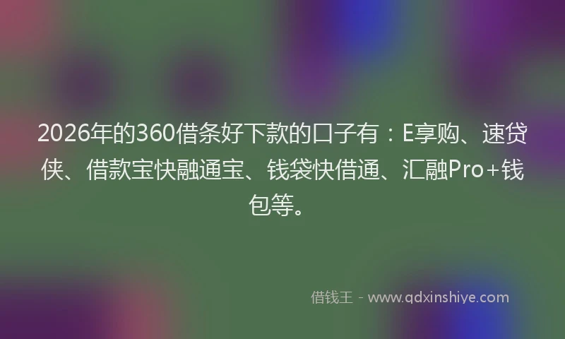 2026年的360借条好下款的口子有：E享购、速贷侠、借款宝快融通宝、钱袋快借通、汇融Pro+钱包等。