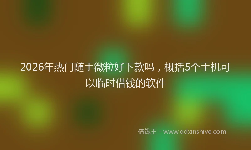 2026年热门随手微粒好下款吗，概括5个手机可以临时借钱的软件