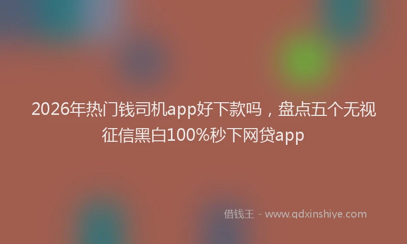 2026年热门钱司机app好下款吗，盘点五个无视征信黑白100%秒下网贷app