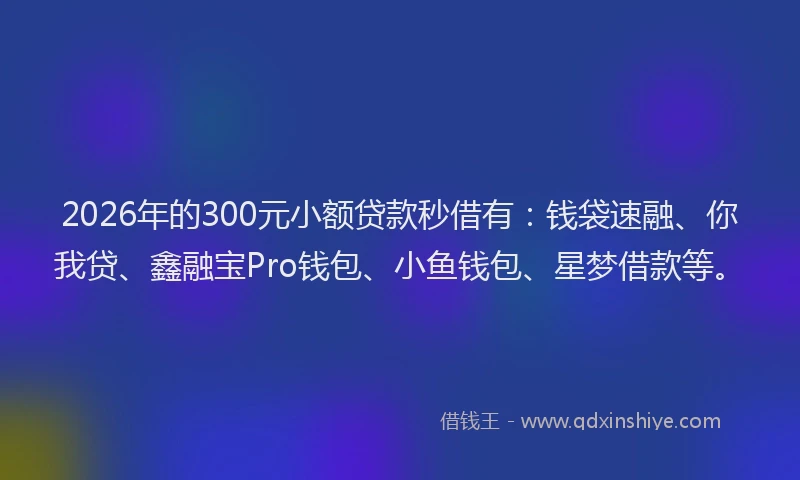2026年的300元小额贷款秒借有：钱袋速融、你我贷、鑫融宝Pro钱包、小鱼钱包、星梦借款等。