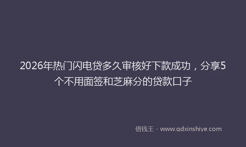 2026年热门闪电贷多久审核好下款成功，分享5个不用面签和芝麻分的贷款口子