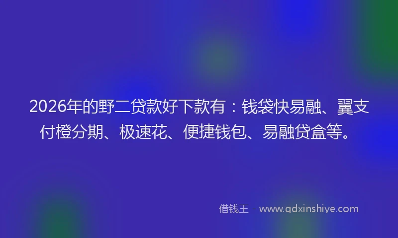 2026年的野二贷款好下款有：钱袋快易融、翼支付橙分期、极速花、便捷钱包、易融贷盒等。