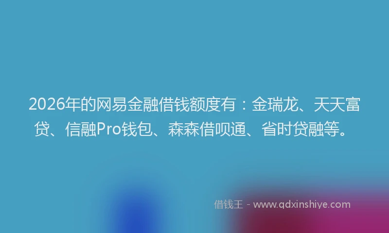 2026年的网易金融借钱额度有:金瑞龙、天天富贷、信融Pro钱包、森森借呗通、省时贷融等。