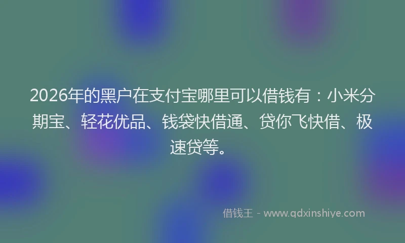 2026年的黑户在支付宝哪里可以借钱有:小米分期宝、轻花优品、钱袋快借通、贷你飞快借、极速贷等。