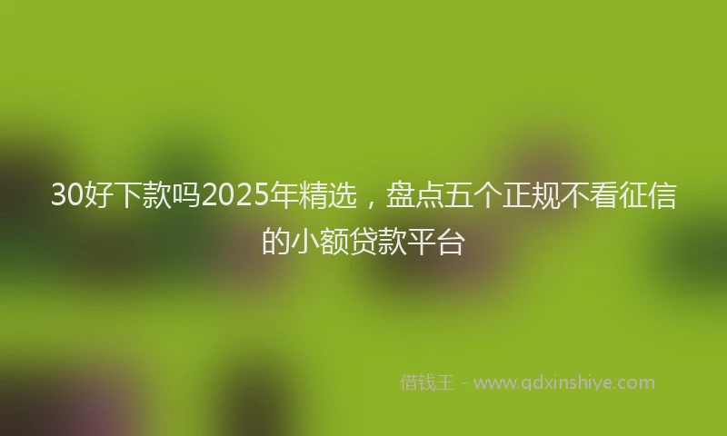 30好下款吗2025年精选，盘点五个正规不看征信的小额贷款平台