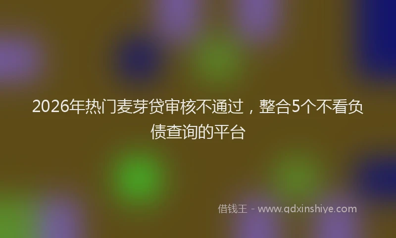 2026年热门麦芽贷审核不通过，整合5个不看负债查询的平台