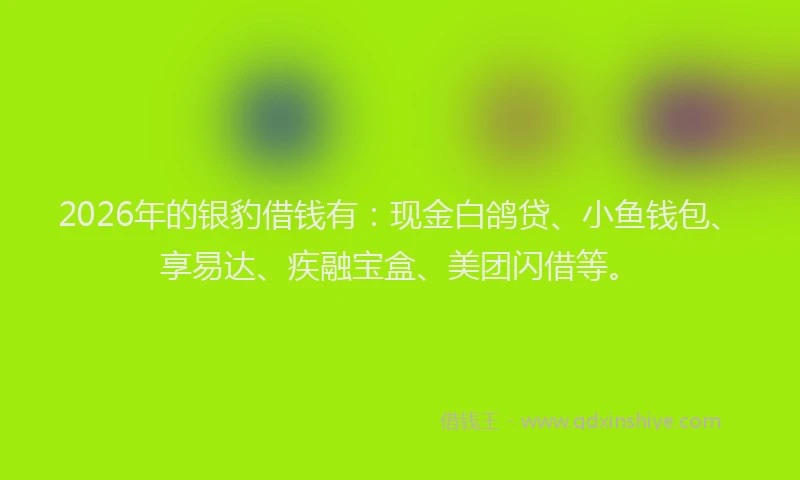 2026年的银豹借钱有:现金白鸽贷、小鱼钱包、享易达、疾融宝盒、美团闪借等。