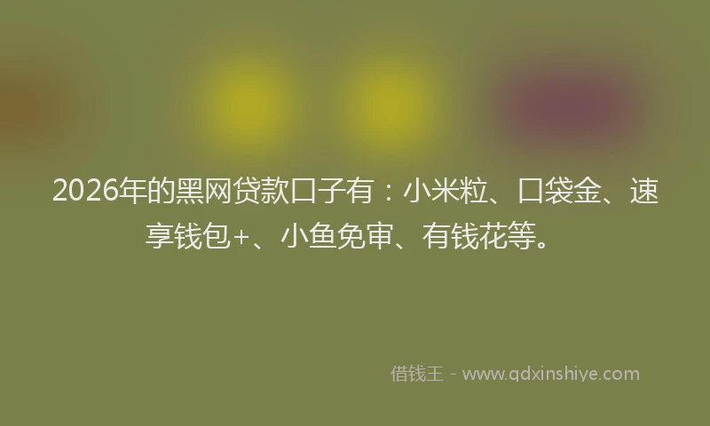2026年的黑网贷款口子有：小米粒、口袋金、速享钱包+、小鱼免审、有钱花等。